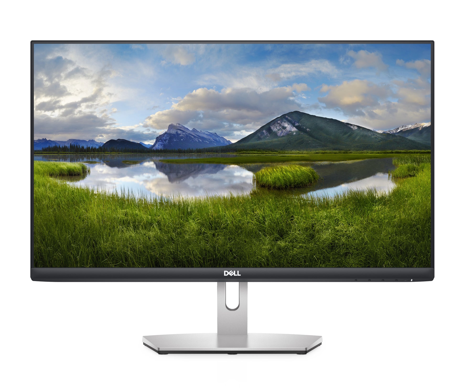 Dell Monitor